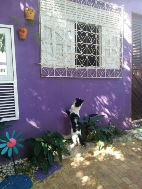 Hostel Margo Natal